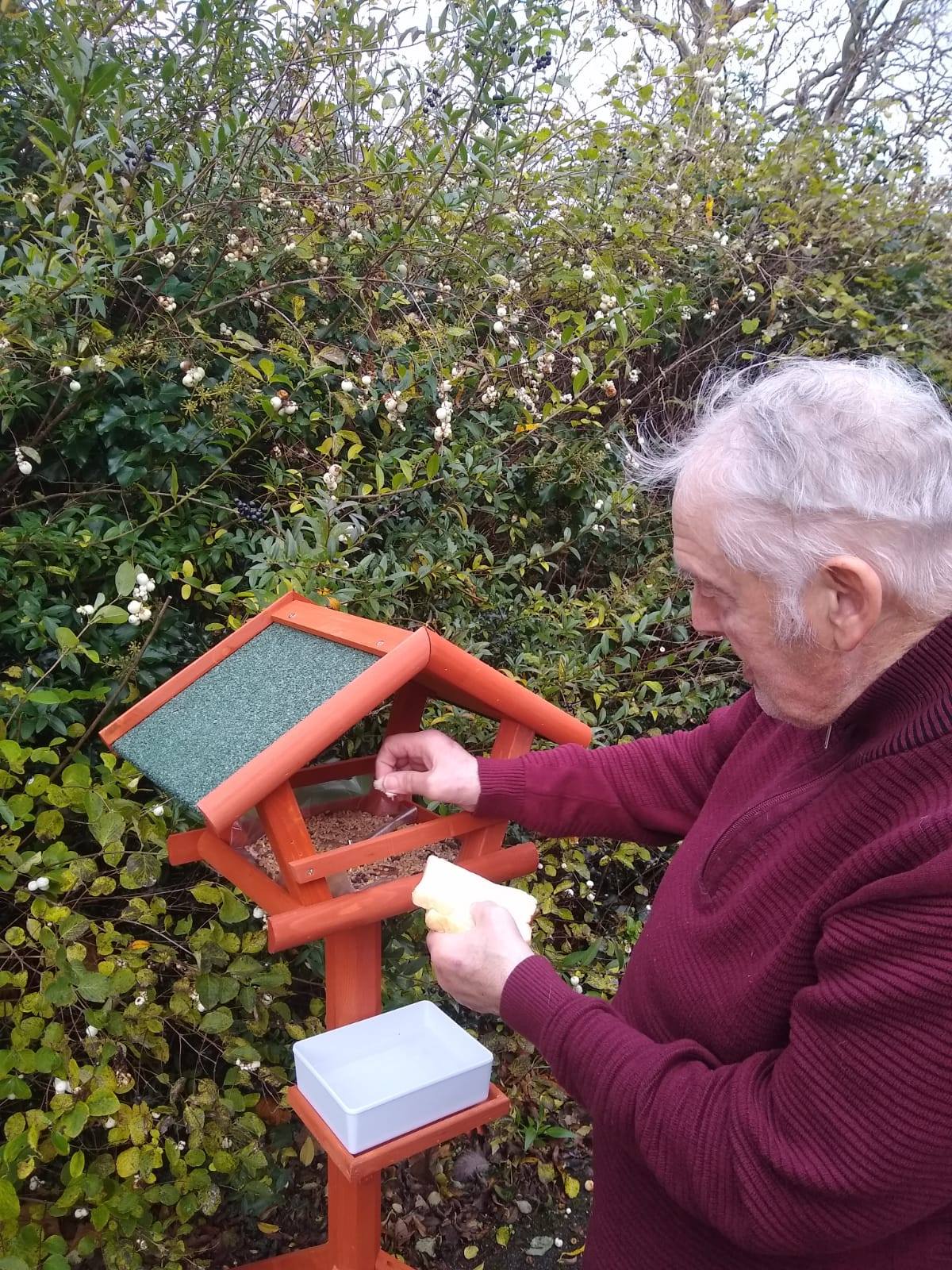 Our Garden Bird house 