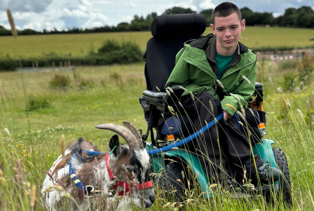 Shared Lives Horse riding