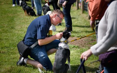 Oak Fest a huge success!