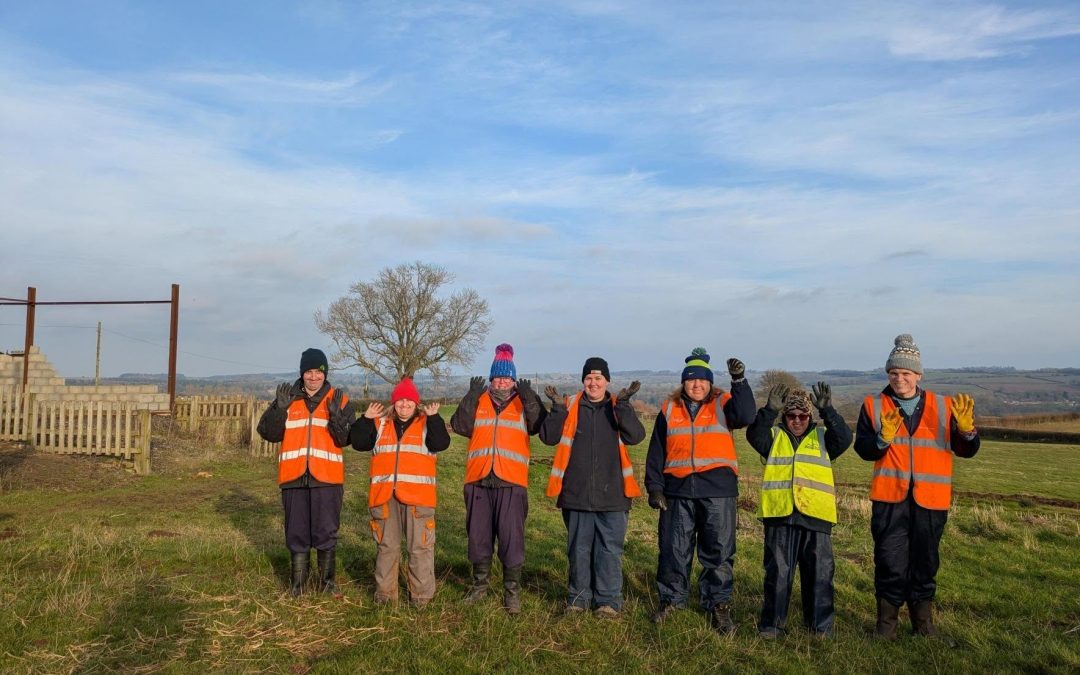 Community Orchard Project