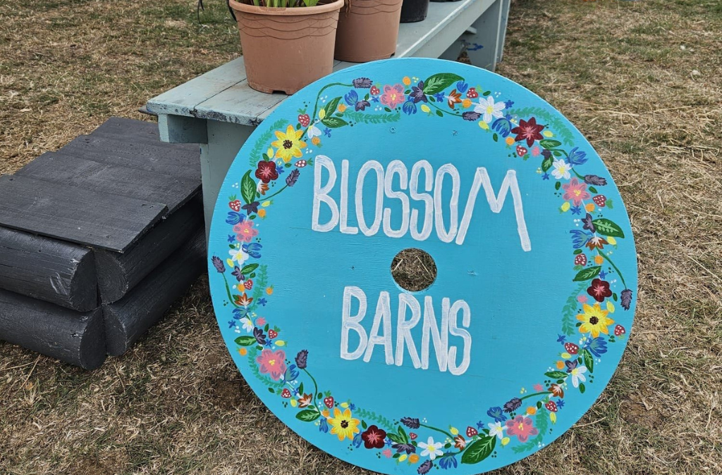 Blossom Barns Blooms at Chelmarsh Fete and Burwarton Show