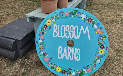 Blossom Barns Blooms at Chelmarsh Fete and Burwarton Show