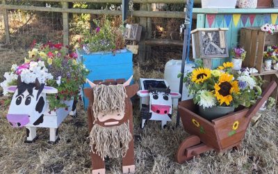 Blossom Barns celebrates its best Burwarton Show yet